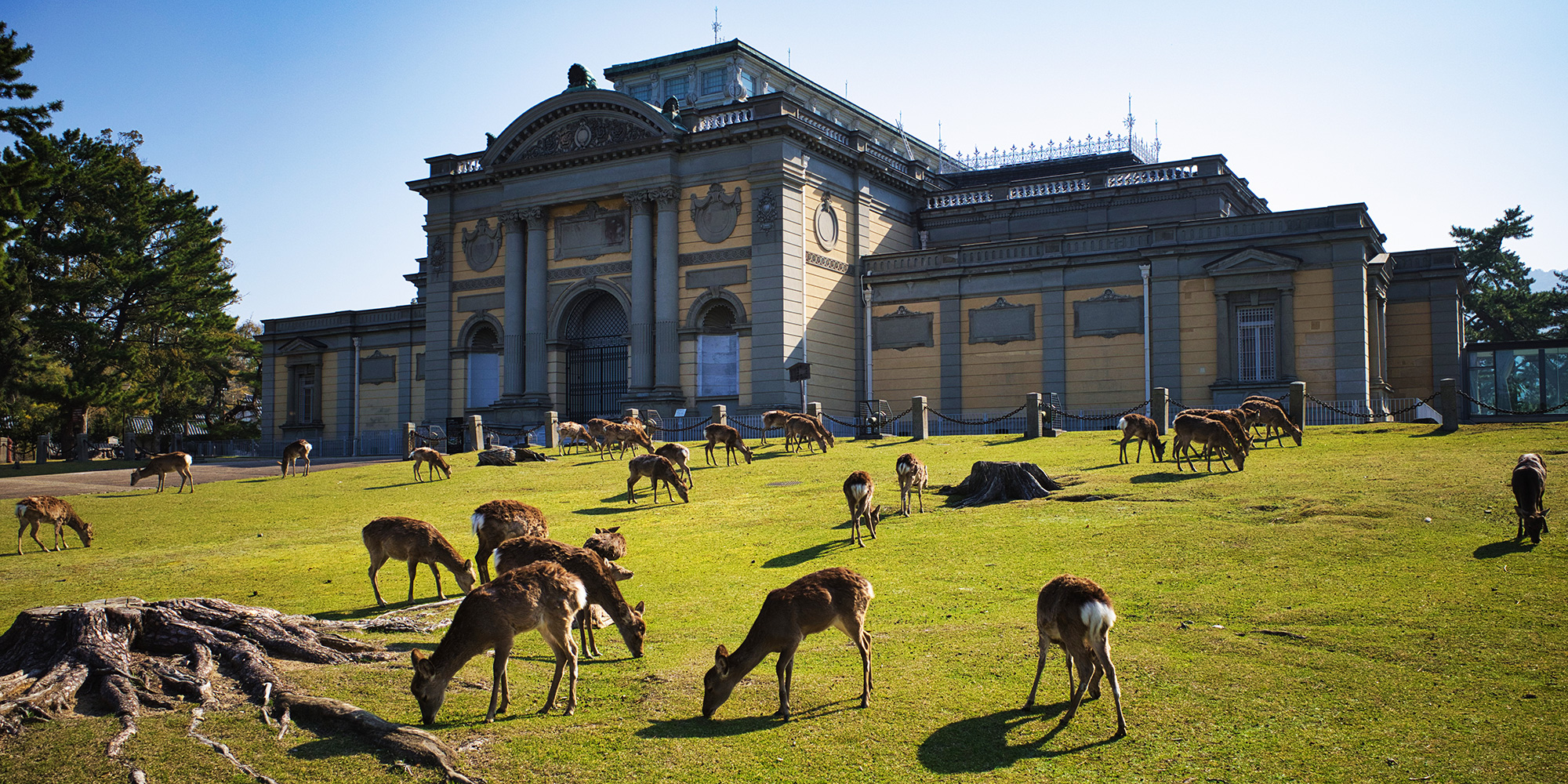 株式会社文化財保存